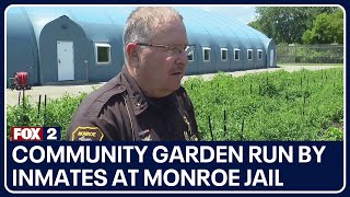 Community garden run by inmates at Monroe jail