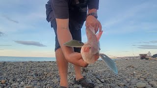 Autumn NZ SURFCASTING IN 34KT WIND