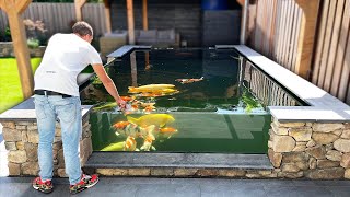 Amazing Fish Pond with 3 Big Windows!