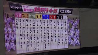 ～#チアドラゴンズ 最速女王は誰だ！ ドラゴンズ・ダービー特別杯「第1回#チアドラ・オークス」