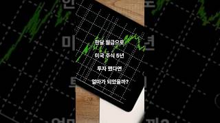 한달 월급으로 미국 주식(META) 5년 투자했다면 얼마가 되었을까?