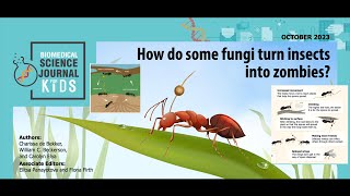 E104: How do some fungi turn insects into zombies? [SJK Audio Edition]