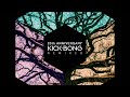 kick bong 20th anniversary remixes full album downtempo electronica psychill