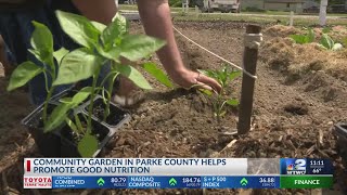 Community garden promotes nutrition and involvement