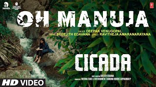 OH Manuja Video Song | CICADA Movie | Sreejith Edavana, Deepak Venugopal |Ravitheja A