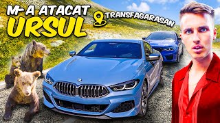 BMW M5 vs. M850i PE TRANSFAGARASAN *A IESIT HAOS*