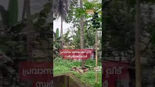 ഇവിടം സ്വർഗ്ഗമാണു