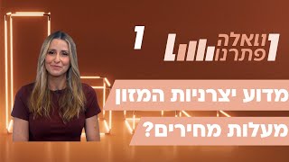 איך חותכים בהוצאות הקבועות? מדוע יצרניות המזון מעלות מחירים?ואיך קונים בטוח ברשת בחודש השופינג?