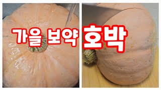 가을 보약 호박 🎃 늙은 호박으로 우리가족 건강 챙겨요.