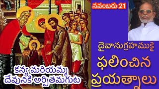 ఫలించిన ప్రయత్నాలు//కన్య మరియమ్మ దేవునికి అర్పింపబడుట@ఫా.జాన్ రాజు