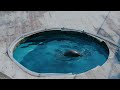 wizoo マリンワールド海の中道 【動物園水族館イメージムービー】