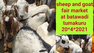 @agrianimals #small is beautiful #the sheep and goat fair market at batawadi tumakuru Tuesday #