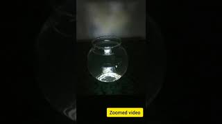 Projector Experiment  | How to Make Easiest Smartphone HD Projector using Fish Bowl DIY| #Shorts
