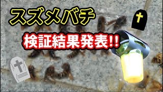 【検証結果】スズメバチは本当に取れたのか【ハチ激取れ】