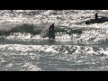 volcom surf team at jpsa ronin pro