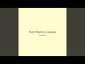 Storm Harmony Cascade