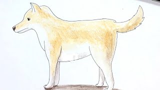 [Standing Dog] How to draw pen and colored pencil pictures, simple illustration!