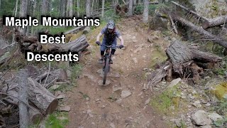 Maple Mountains Best Descents