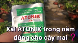 Cách sử dụng ATONIK trong năm sao cho đúng mang lại hiệu quả cao // 22-2 âl