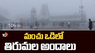 Heavy fog in Tirumala...!  | మంచు ఒడిలో తిరుమల అందాలు | 10TV News