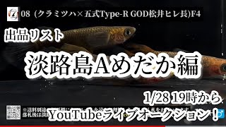 【淡路島Aめだか編】1/29 19時からYouTubeライブオークション！出品リスト