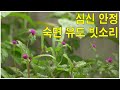 불면증 빗소리 asmr 잠잘오는 빗소리 3시간