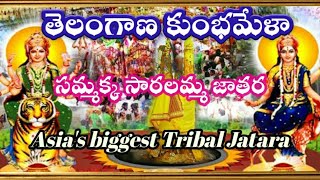 Medaaram Jaatara || Sammakka Saaralamma Jatara || Asia's biggest Tribal Jatara || తెలంగాణ కుంభమేళా