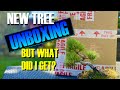 New Bonsai Tree Unboxing. But what did I get?