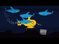 can you solve the fish riddle steve wyborney