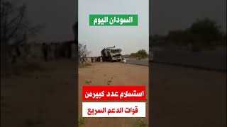 #shorts استسلام عدد كبير من قوات الدعم السريع السوداني