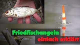 Friedfischangeln einfach erklärt - Ansitz mit Pose, Mais, Made und Wurm - Futter selber machen