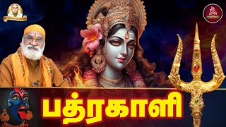 பத்திரகாளி அம்மன் பாடல் | Padrakali | Veeramanidasan | Tamil Devotional | Aanmeega Payanam