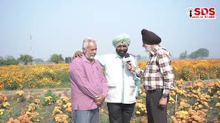 ਦੇਖੋ ਗੇਂਦੇ ਦੇ ਫੂਲਾਂ ਦੀਆਂ ਵੱਖ-ਵੱਖ ਕਿਸਮਾਂ Unique types of marigold flower अनोखे प्रकार के गेंदे के फूल