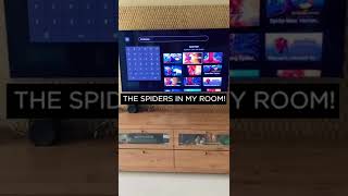 There are spiders in my room! | DisneyPlus Hotstar