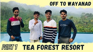 First Travel Vlog✌🏻️ Off To Wayanad. Tea Forest Resort ആദ്യമായി വയനാട്ടിൽ പോയെ ഞാൻ 😱 Part 1#wayanad