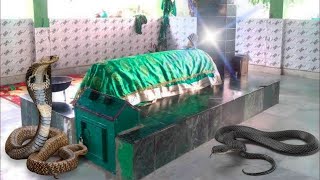 अल्लाह के वली मामु भांजे की जिन्दा करामत देखकर सब लोग हैरान हो गये😱 | India Ki Sabse Karamati Dargah