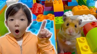 【寸劇】ハムスターがお城に閉じ込められた！レゴ迷路かくれんぼからの脱出🐁DIY Hamster MAZE Lego Obstacle Course Escape the Castle!