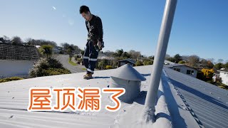 一场大雨，我们家屋顶漏了（新西兰 Harold Vlog 651）