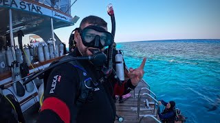 Hurghada Sachwa/Marsa Abu Galawa Diving Site 02.11.24🐡