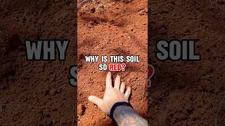 What makes soil red? 🤔 #redsoil #soil #earth #garden #gardening #fertiliser #plants #gardeningtips