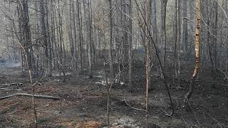 Pożar lasu - spłoneło ponad 8 hektarów lasu w Nowej Wsi