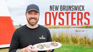 Oyster Farming in New Brunswick | Ep 11 with Chef Dennis Prescott 🦪