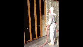 SES SPRAY FOAM