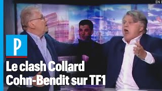 « Ordure ! » : Gilbert Collard et Daniel Cohn-Bendit s'insultent en direct sur T