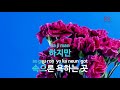 ky entertainment 여기는 빈 뮤지컬 모차르트 신영숙 김승대 앙.. ky.27465 ky karaoke