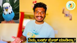 ತಂದು ಒಂದ್ ವರ್ಷ ಬರ್ಡ್ಸ್ ಆದ್ರೂ ಬ್ರೀಡ್ ಆಗಿಲ್ಲ??|Daily Vlog #27