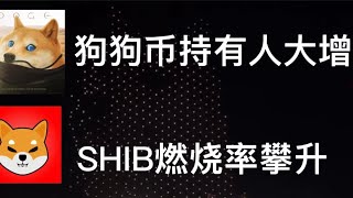 狗狗币持有人大增，价格继续上涨条件｜Shib屎币燃烧率攀升，长期持有者增多｜币圈牛市11月份启动