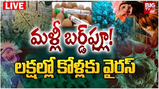 మళ్లీ బర్డ్‌ఫ్లూ!  లక్షల్లో కోళ్లకు వైరస్‌ LIVE :  Bird Flu In Chickens | BIG TV