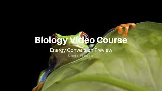 Energy Conversion - Biology Video Course Homeschool Curriculum Preview