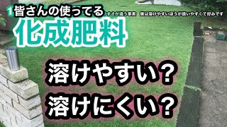 【芝生壊滅・TM9＋西洋芝】165日目　化成肥料は種類によって溶けやすさが違う事実　僕は溶けやすい方が扱いやすくて好みです